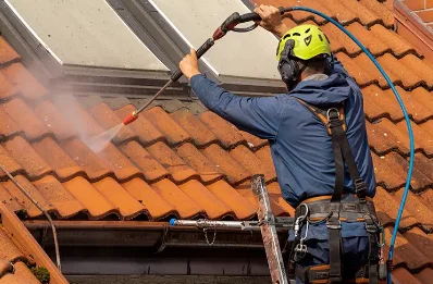 Démoussage et hydrofuge de toiture au Grippon
